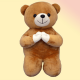 Shodai Bear