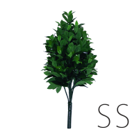 Artificial SHIKIMI SS