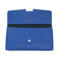 Juzu Case Blue